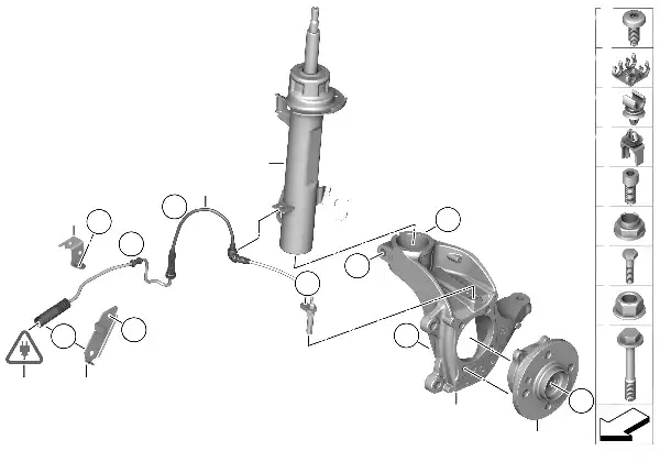 Front Spring strut/Carrier/Wheel bearing