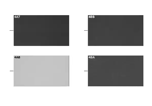 Sample chart with interior colors