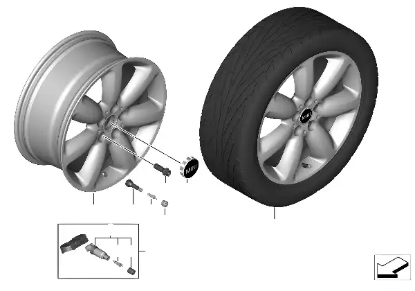 Roue LM MINI Star Spoke 521 - 18"